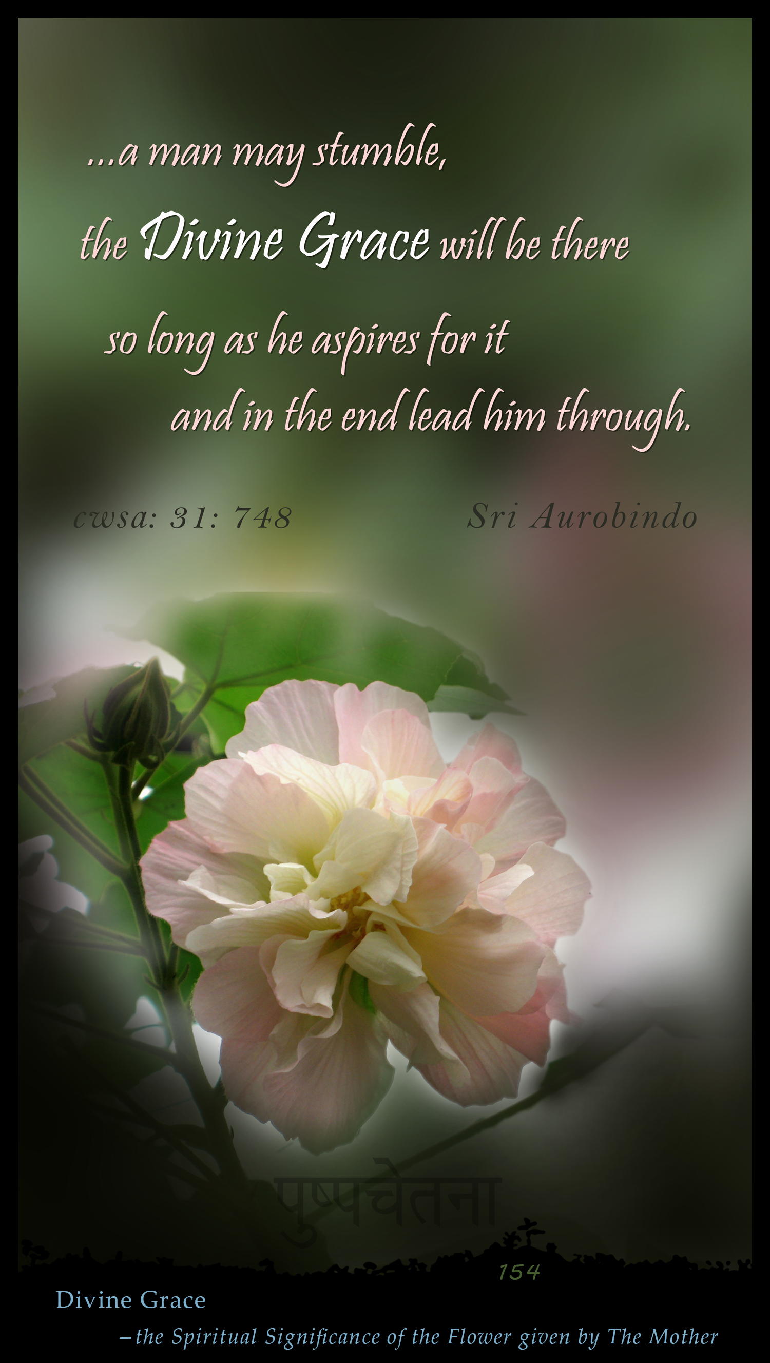 Divine Grace